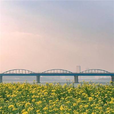 金山文博—济渡桥